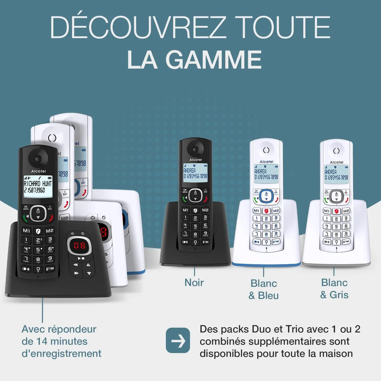 La gamme Alcatel F860 — en noir, blanc/bleu et blanc/gris