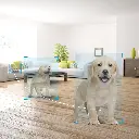71Arbhm4i4L._AC_SL1500_.webp