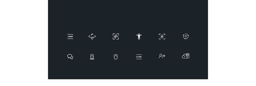 Vue 20